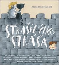 Audiokniha Strašidýlko Stráša (CD) - CD