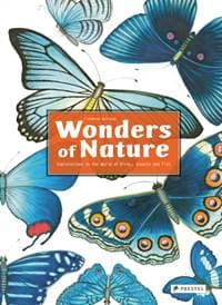 Wonders of Nature: Explorations in the World of Birds, Insects and Fish - Florence Guiraud, Prestel