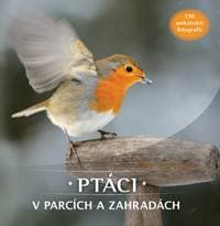 Ptáci v parcích a zahradách - autor neuvedený