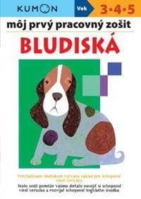 Bludiská - môj prvý pracovný zošit - Kolektív autorov