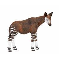 Okapi - autor neuvedený