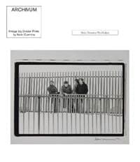 Archivum - Kevin Cummins, Paul Stolper, Paul Stolper