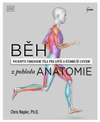 Běh z pohledu anatomie - Správná technika, prevence před zraněním, nastavení tréninku - Napier Chris
