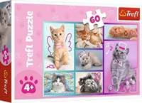 Puzzle Roztomilá koťátka - autor neuvedený