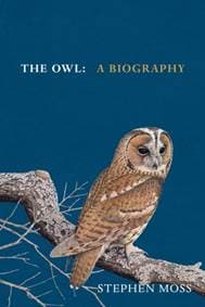 The Owl - Stephen Moss, Square Peg