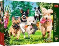 Puzzle Premium Plus Tea Time Potíže na obzoru - autor neuvedený