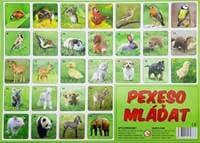 Pexeso mláďatá fotografie 32 dvojíc - spoločenská hra - autor neuvedený