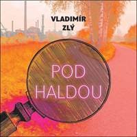 Audiokniha Pod haldou (CD) - Vladimír Zlý, Gustav Hašek