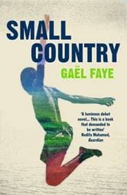 Small Country - Gael Faye, Vintage Publishing