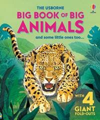 Big Book of Big Animals - Hazel Maskell, Usborne Publishing Ltd