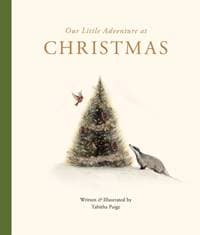 Our Little Adventure at Christmas - Tabitha Paige, Blue Star Press