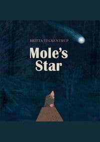Moles Star - Britta Teckentrup, Orchard Books