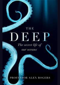The Deep - autor neuvedený