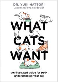 What Cats Want - autor neuvedený