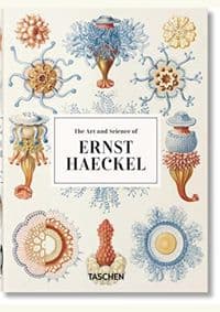 Haeckel - Rainer Willmann, Julia Voss, TASCHEN