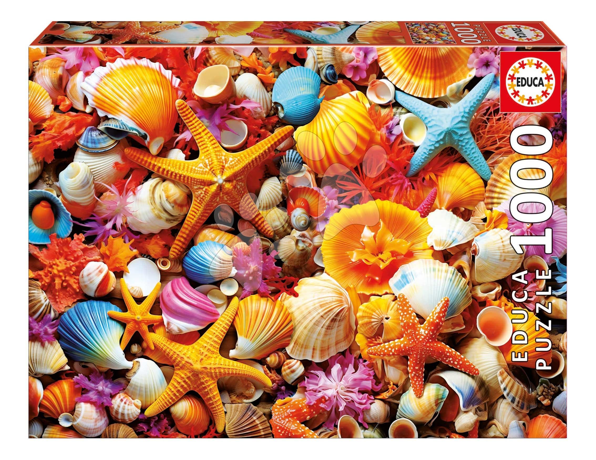 Puzzle Collage of Shells Educa 1000 dielov a Fix lepidlo