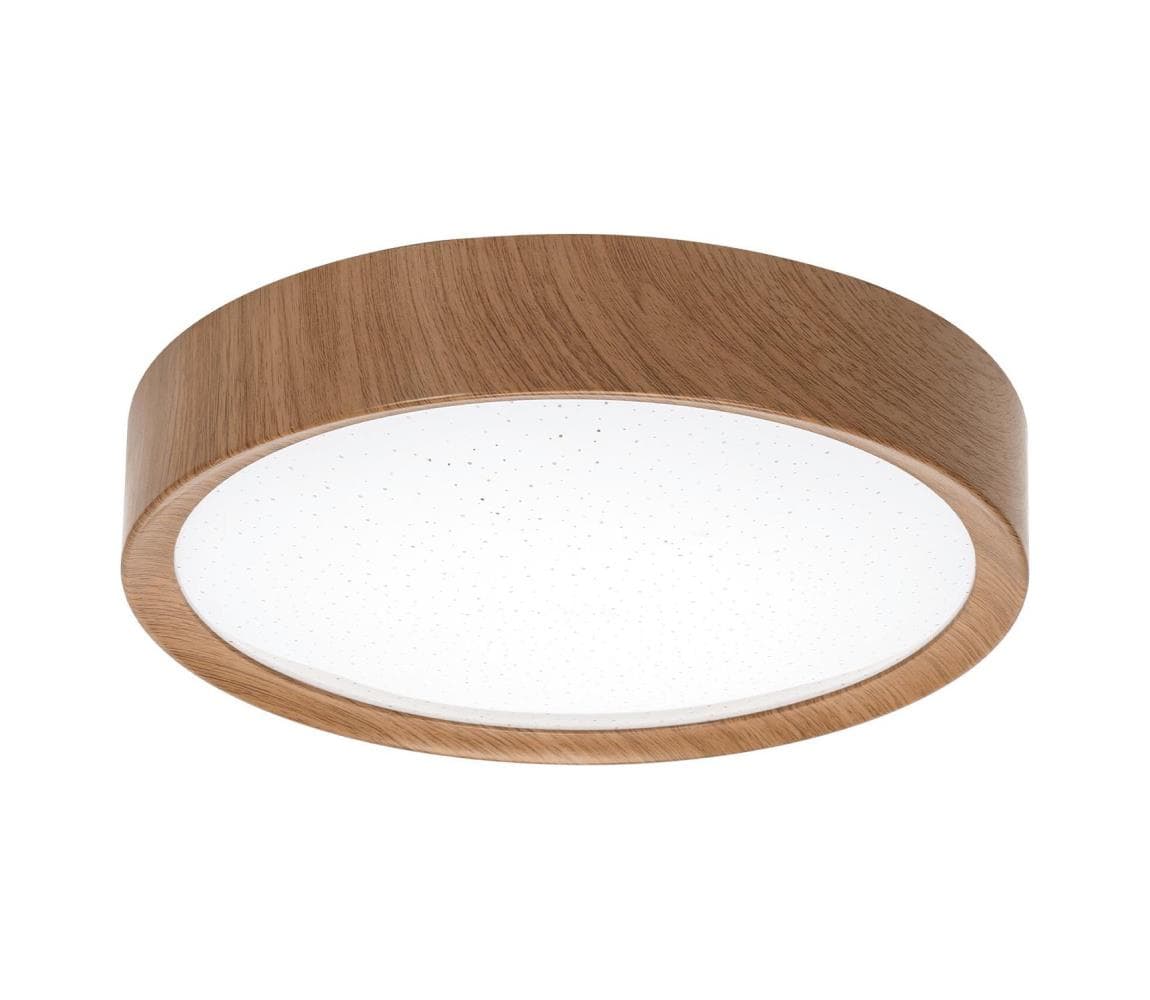 B.V. - LED Stropné svietidlo LED/12W/230V 6500K pr. 26,3 cm B103101BR