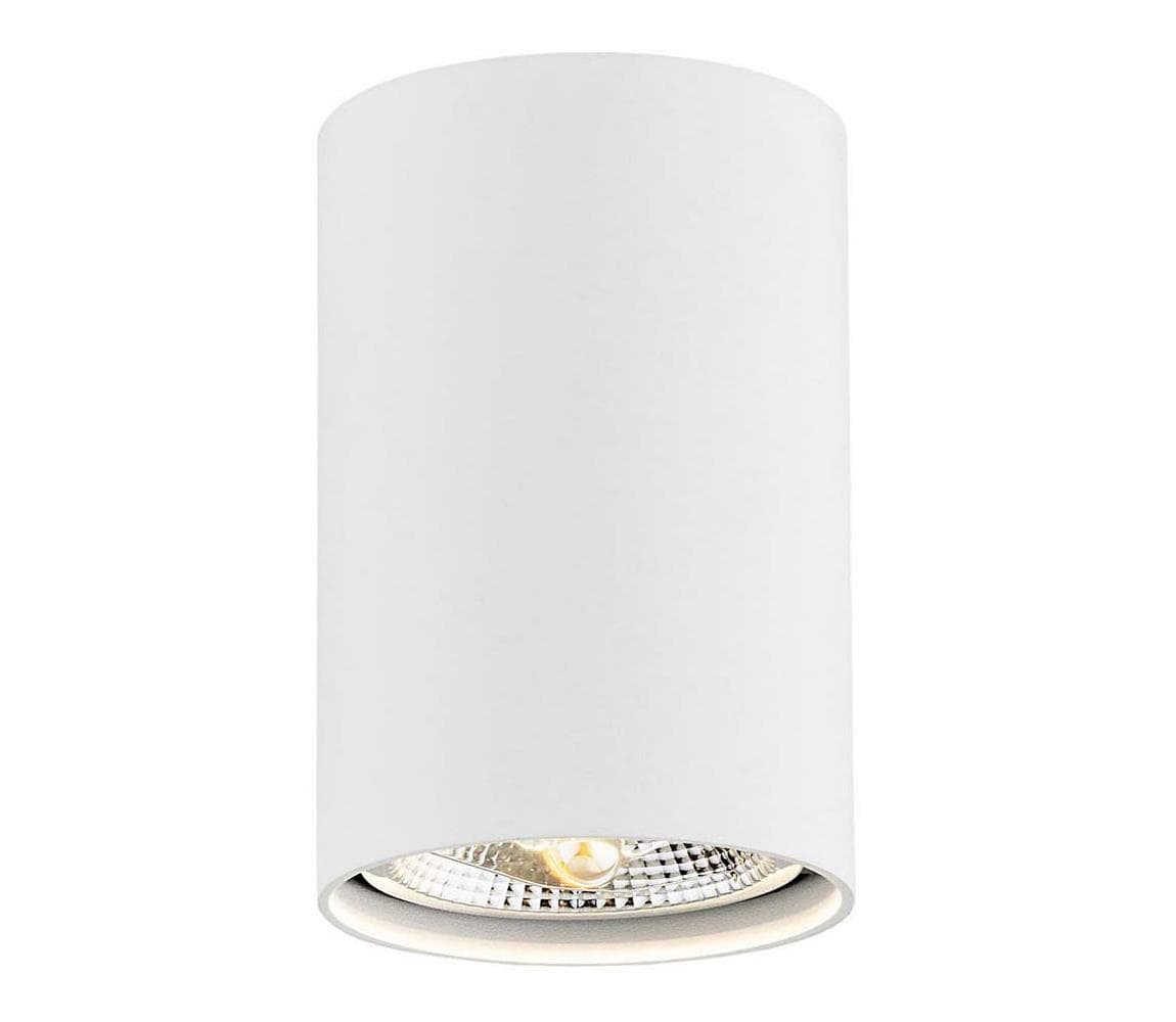 Argon 4910 - Bodové svietidlo TUBO AR111 1xGU10/15W/230V biela 4910