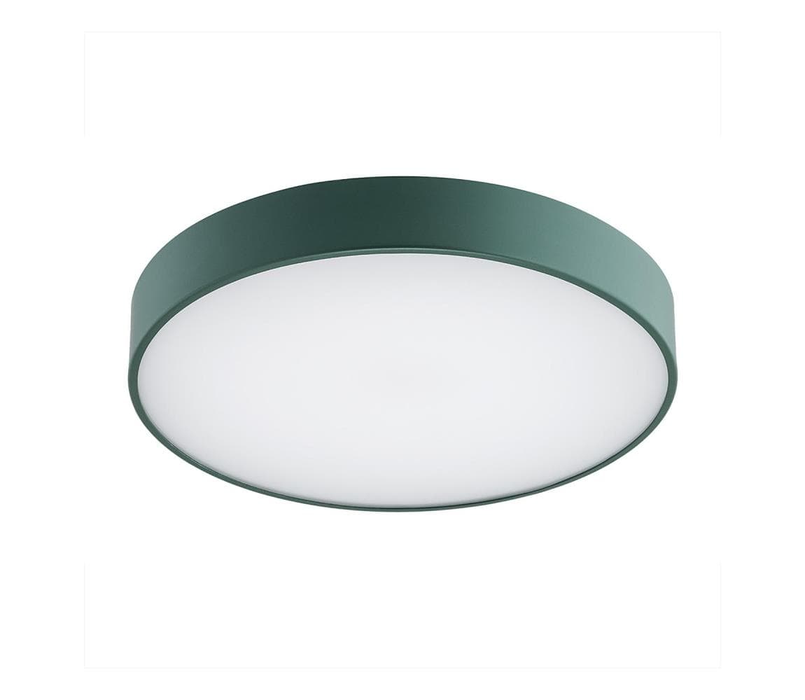 Argon 8335 - LED Stropné svietidlo TIAMO LED/22W/230V 4000K zelená 8335