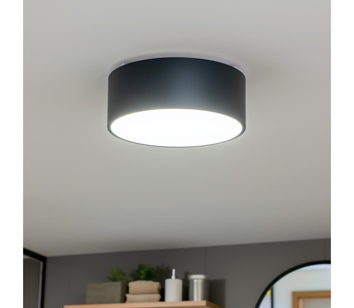 Brilagi - Kúpeľňové stropné svietidlo POOL 2xE27/15W/230V priemer 30 cm IP54 čierna FG-R300-E27-BLK