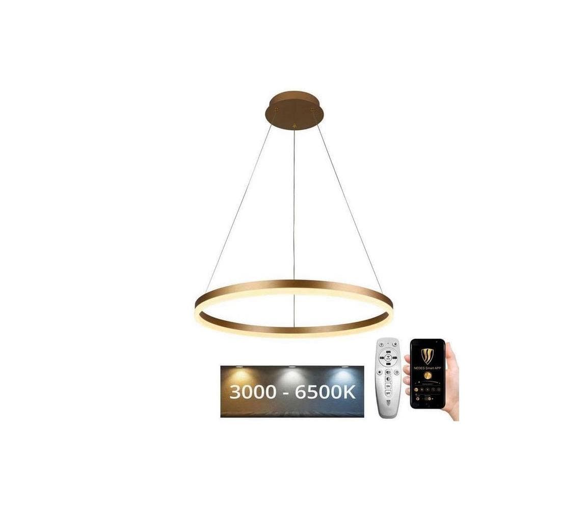 Brilagi - LED stmievateľný luster na lane CIRCLE LED/42W/230V 3000-6500K + diaľkové ovládanie BG-J4308/G