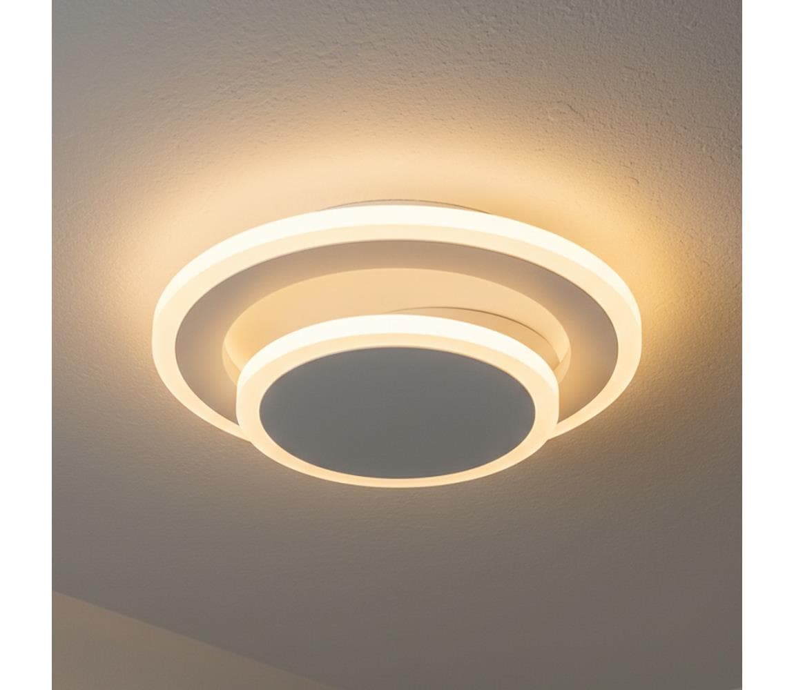 Brilagi - LED stropné svietidlo MODERN MINI LED/22W/230V 3000/4000/6000K BRMB7122-22W
