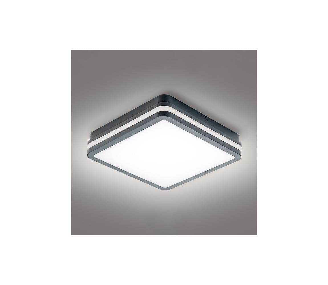 Brilagi - LED Vonkajšie svietidlo BENE LED/24W/230V 26x26 cm IP54 BRI050