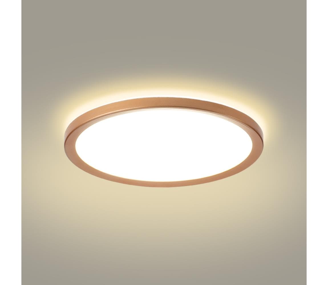 Brilagi - ultratenké kúpeľňové stropné LED svietidlo 24W/230V, priemer 42 cm, ružové zlato, IP54 BRI630