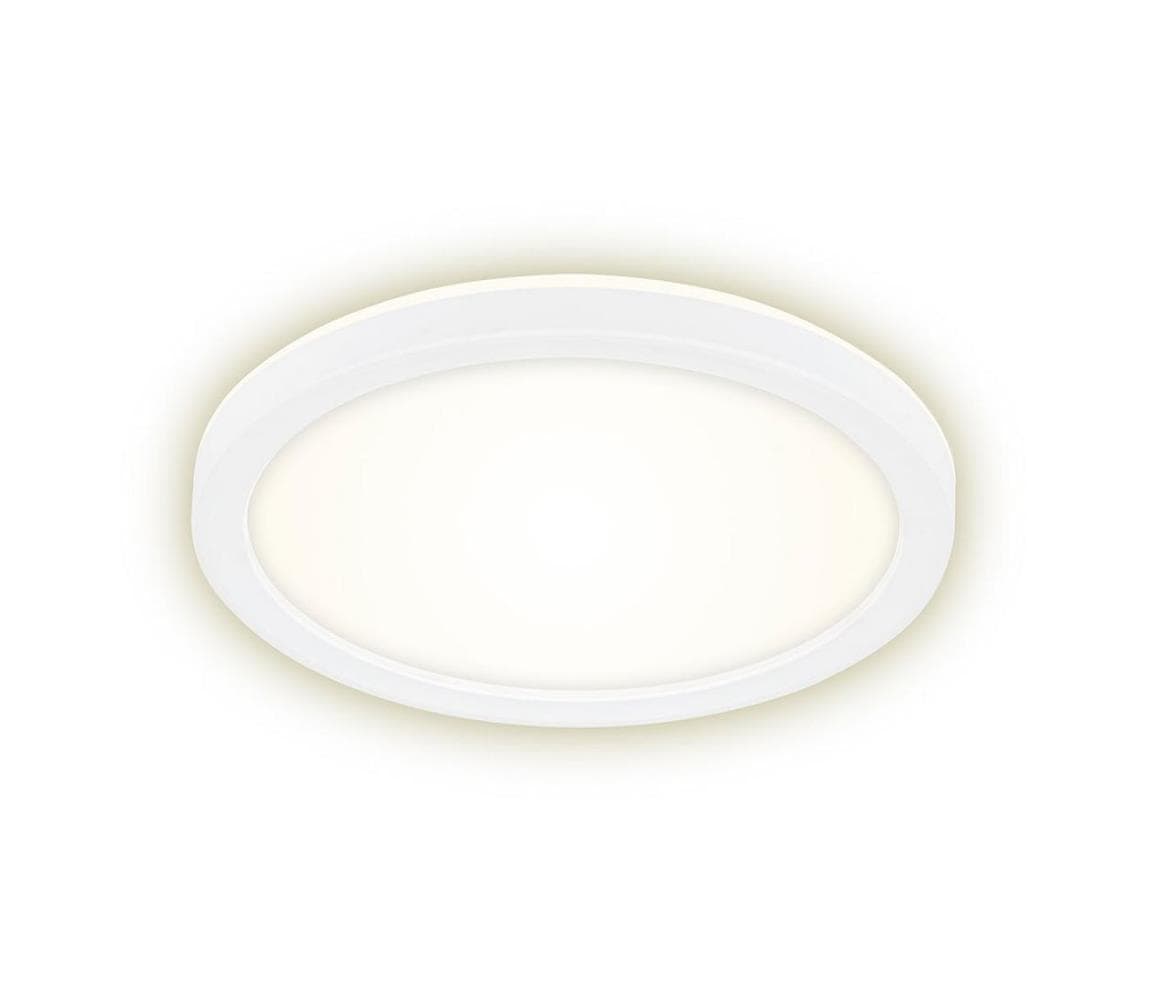 Briloner 7150-416 - LED Stropné svietidlo SLIM LED/12W/230V pr. 19 cm 7150-416