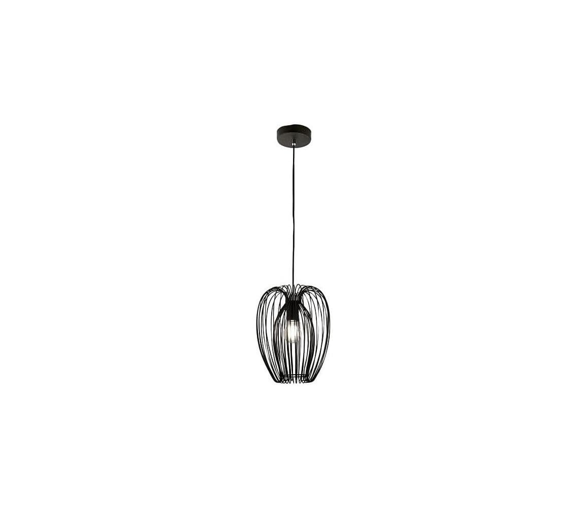Fabas Luce 3677-45-101 - Luster na lanku CAMP 1xE27/40W/230V čierna 3677-45-101