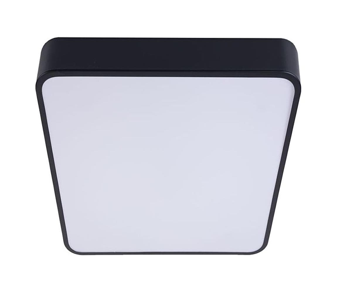 LED Stropné svietidlo FELIZ LED/50W/230V 4000K 40x60 cm čierna 5903271845392