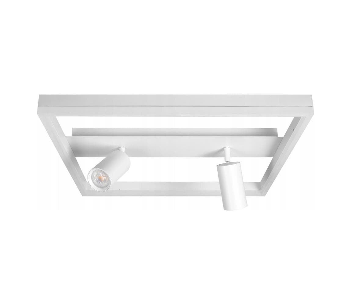 SmartLED LED stropné svietidlo LED/38W/230V + 2xGU10/30W biela 7941