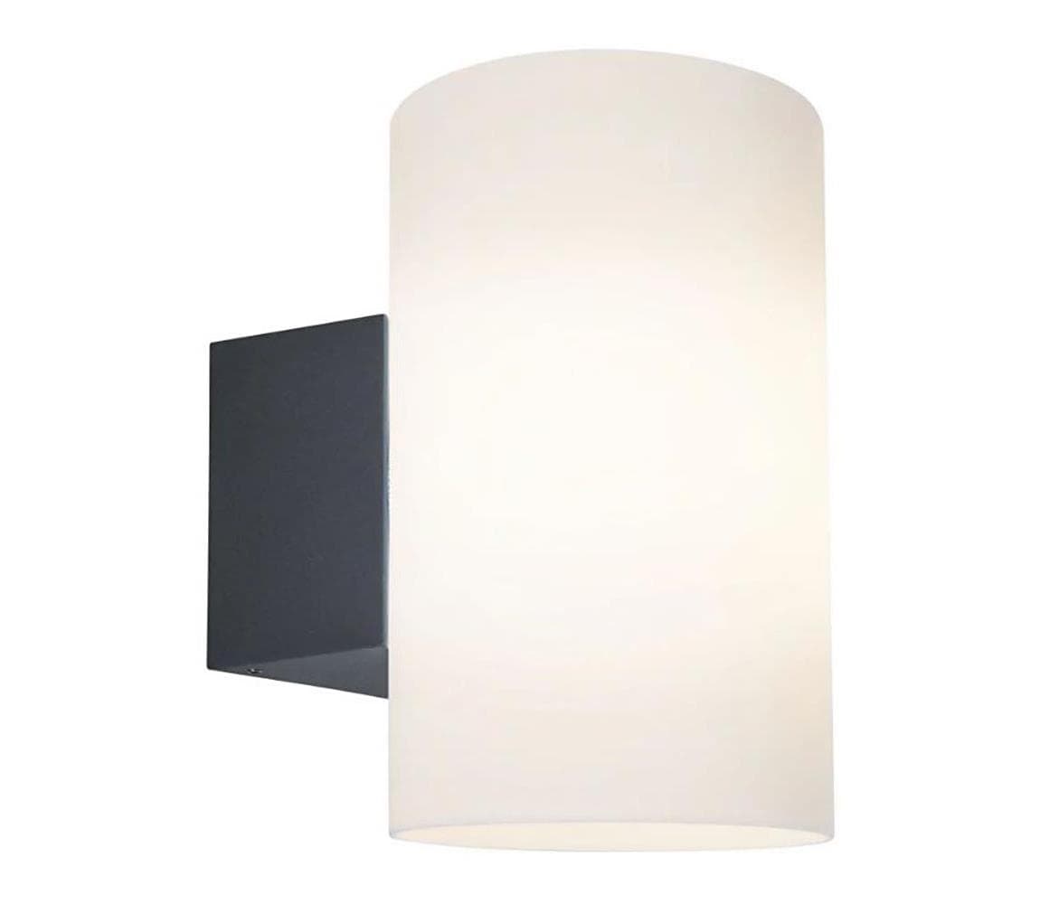 Paulmann 94186 - 1xE27/15W IP54 Vonkajšie nástenné svietidlo TUBE 230V 94186