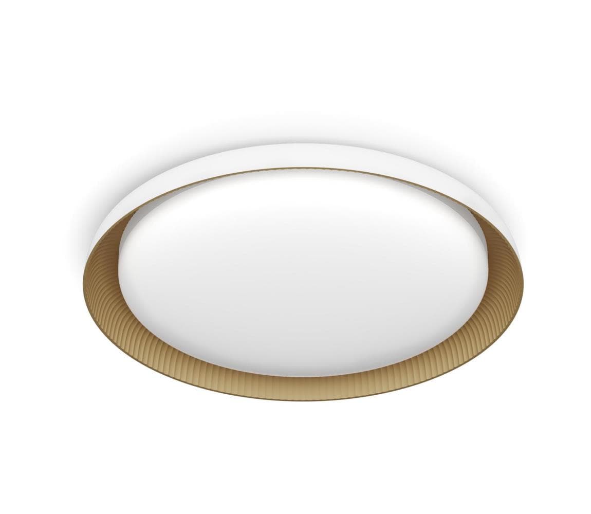 Philips - LED Stmievateľné stropné svietidlo PEBBLO LED/10W/230V 4000K biela 8720169301078