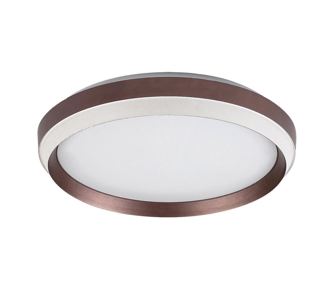 Rabalux 71159 - LED stropné svietidlo FONTANA LED/24W/230V 3000K 71159