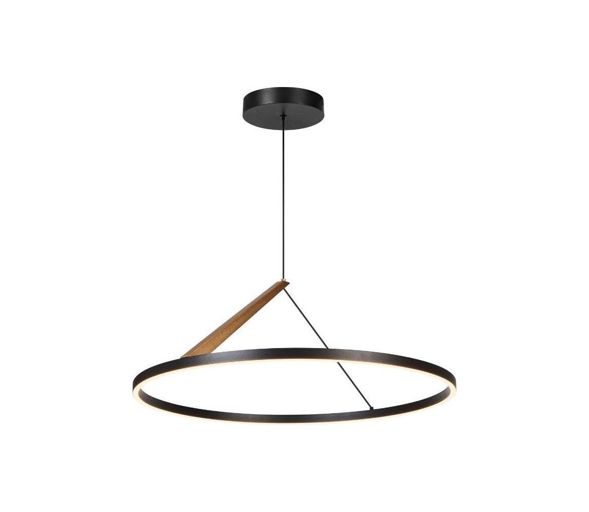 Rabalux 72352 - LED závesný luster na lanku RENARA LED/40W/230V 3000K 72352