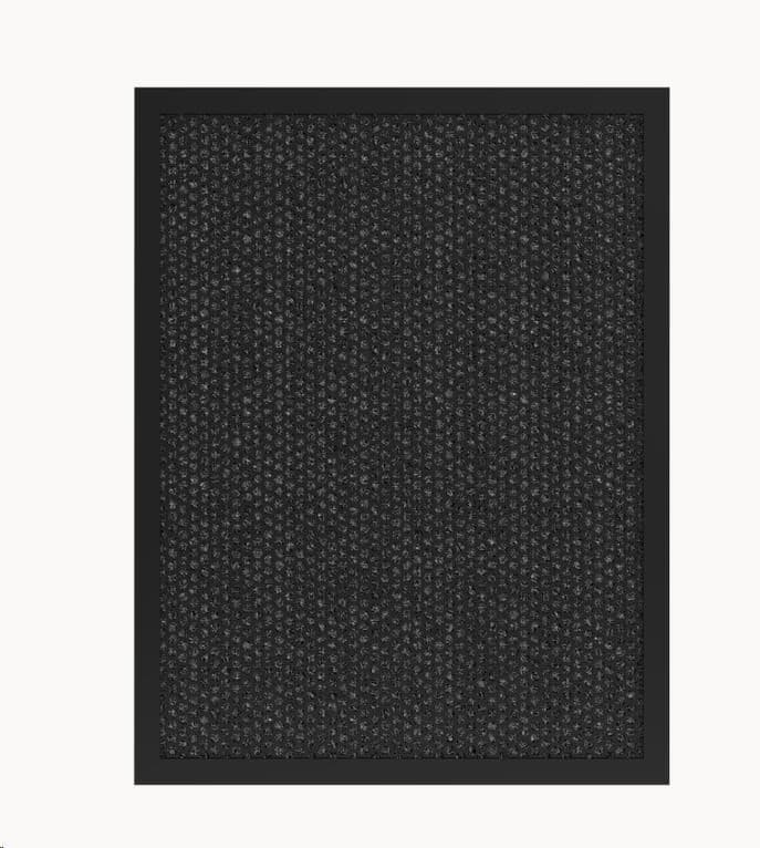 Teslá Smart Air Purifier Pre XL Carbon Filter