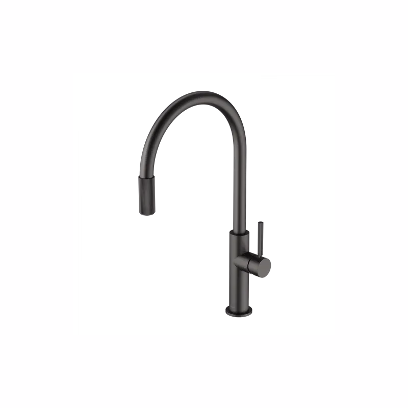 OMNIRES OMNIRES - Drezová batéria (kompatibilná s akýmkoľvek systémom filtrácie vody), grafit SW9057GR