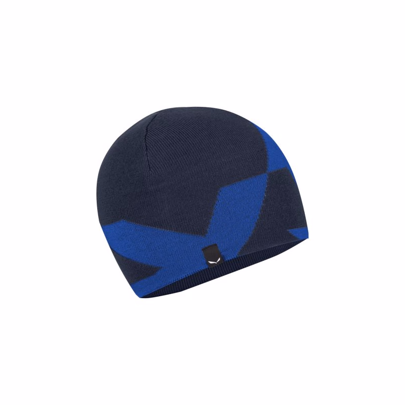 Zimná čiapka SALEWA PURE REVERSIBLE AM BEANIE blue