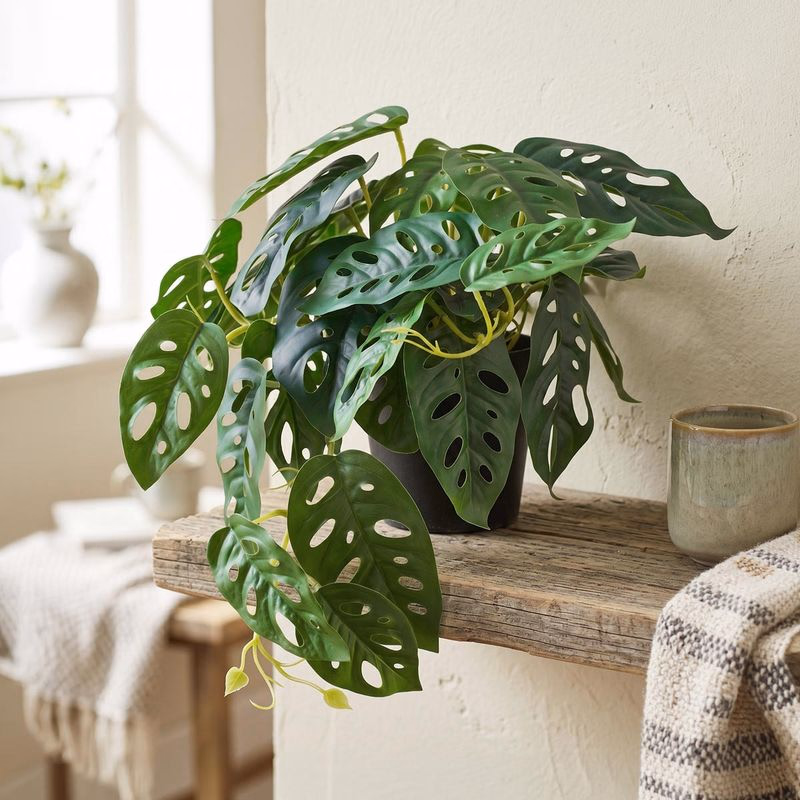 Umelá Monstera adansonii