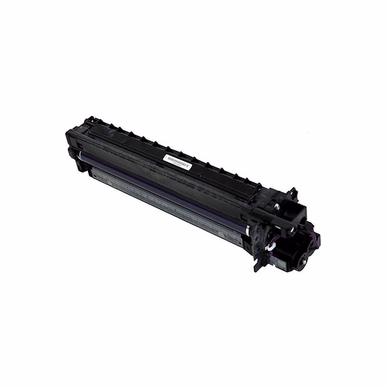 RICOH D2970121 - originálny