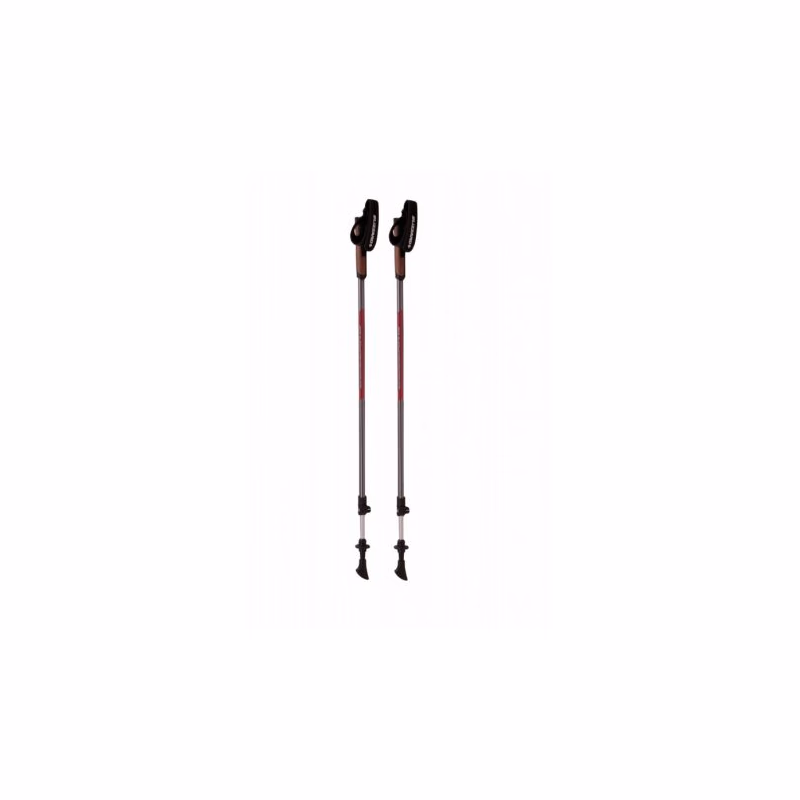 Nordic walking palice BLIZZARD Alu Performance nordic walking poles, anthracite pink