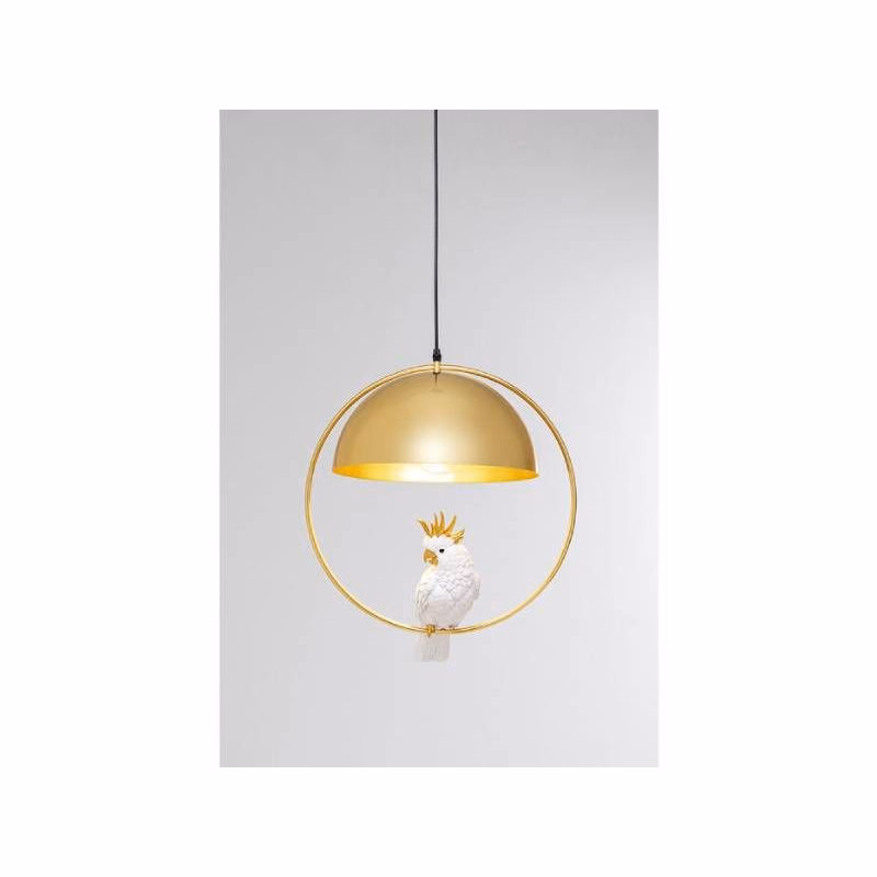Animal Cockatoo visiaca lampa