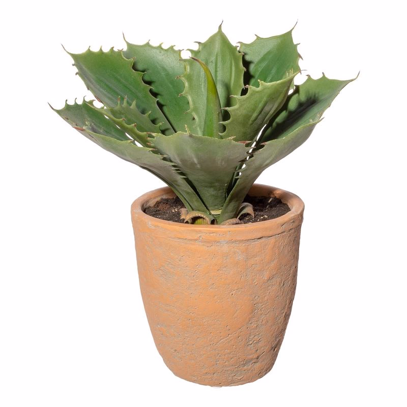 Umelý kvet Echeveria 25 cm, zelená