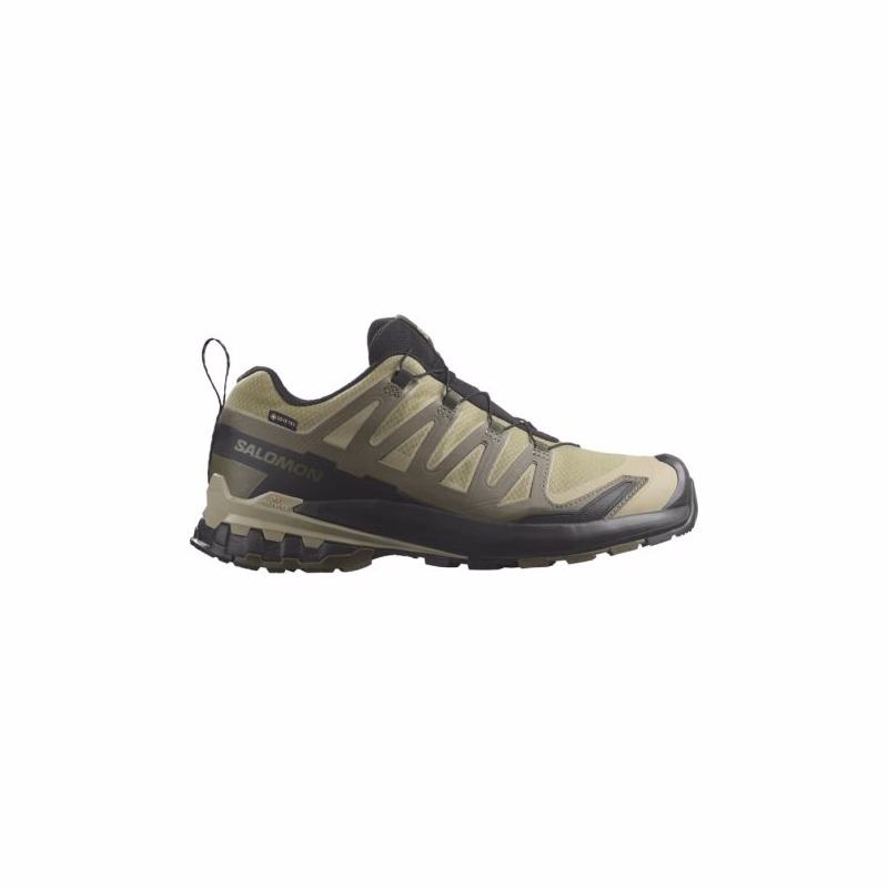 Pánska bežecká trailová obuv SALOMON XA Pro 3D V9 GTX M dried herb black olive night