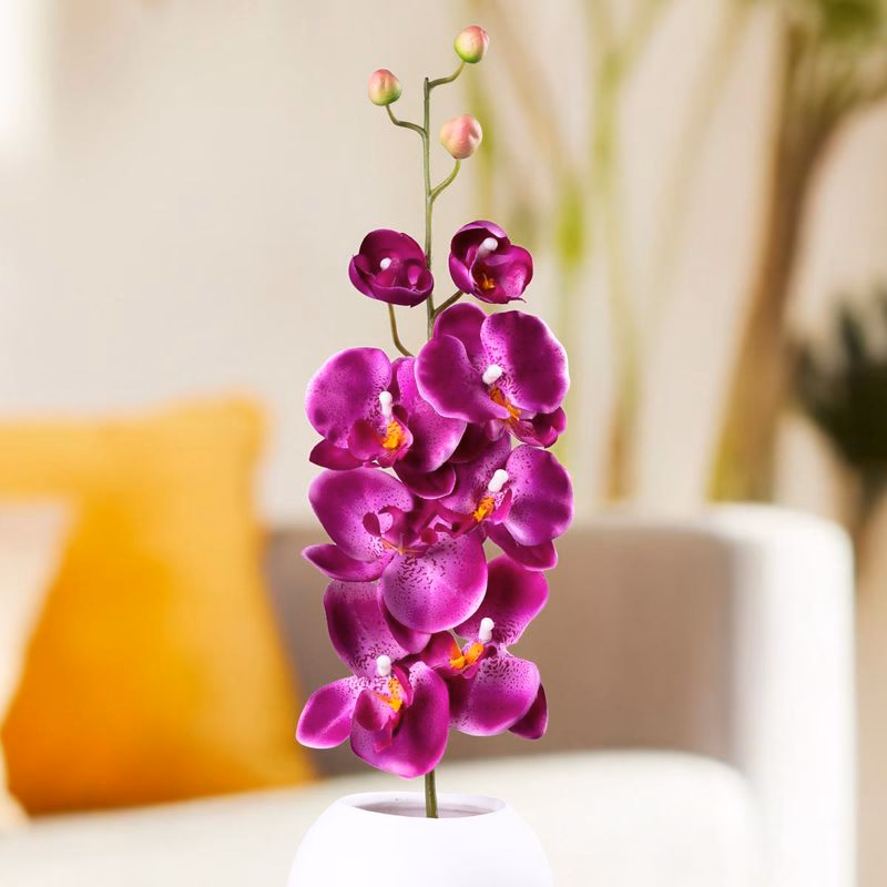 Umelá orchidea, fialová