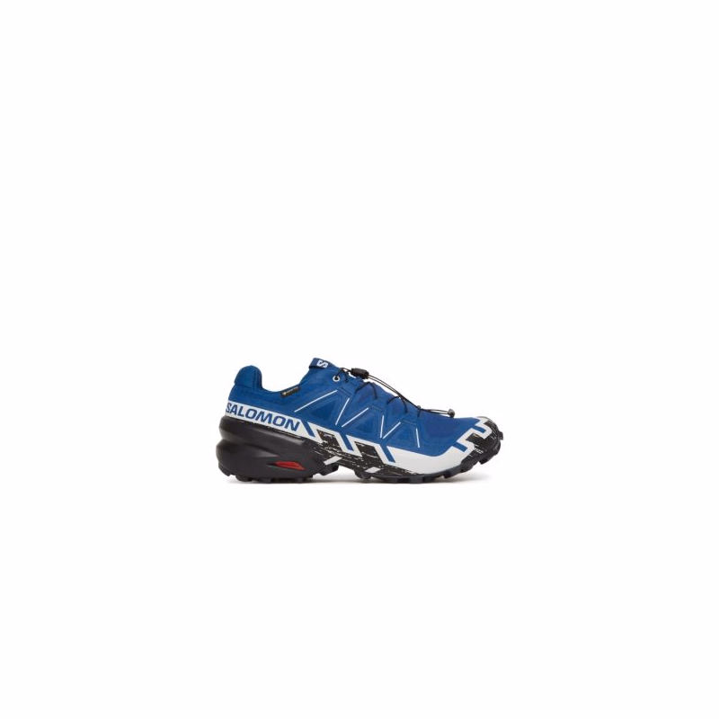 Pánska bežecká trailová obuv SALOMON Speedcross 6 GTX M poseidon black lunar rock