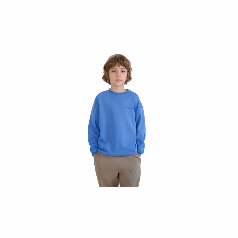Chlapčenská mikina 4F JUNIOR SWEATSHIRT-JWSS25TSWSM1713-34S-BLUE