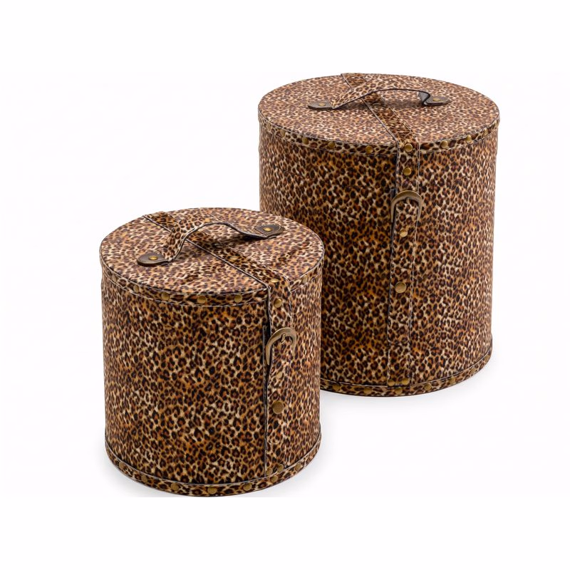 Box Wild Animal Leo (sada 2 ks)