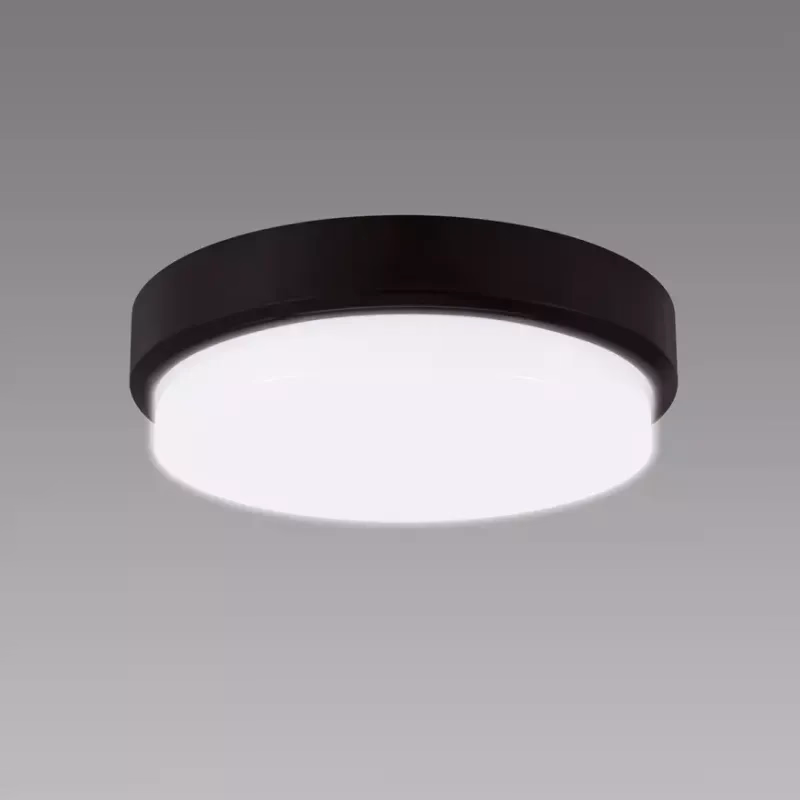 Stropná lampa Aron LED C 12W Black 4000K 03800 PL1